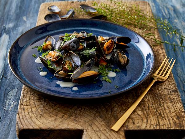 Teller Gastro Geschirr Steingut schwarz/blau – PURVIDA Design